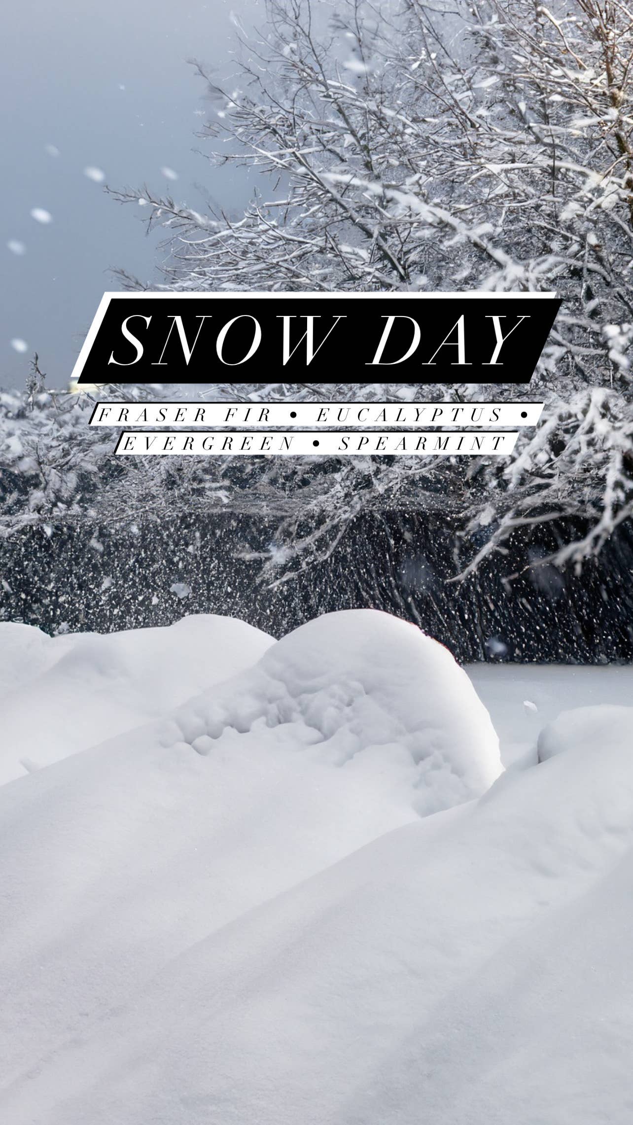 Wash and Wik - Wholesale Jar/Filled Candle - Snow Day Soy Wax Candle | Fraser Fir | Eucalyptus - 1 Wick5