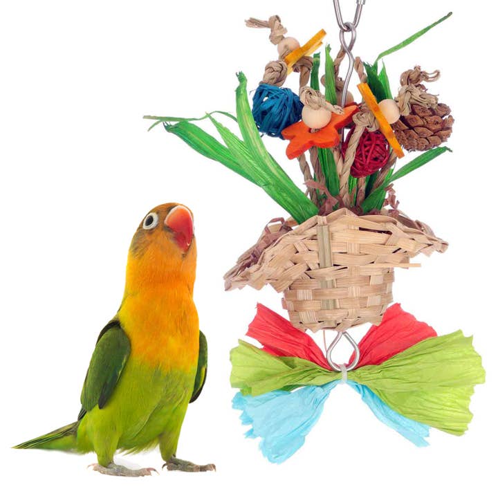 Frühlings-Blumen und andere Ergebnisse für vogelfutter lieferantin im Großhandel. Kostenlose Rücksendungen und 60-Tage-Zahlungsziel auf Faire im Trend auf Faire.