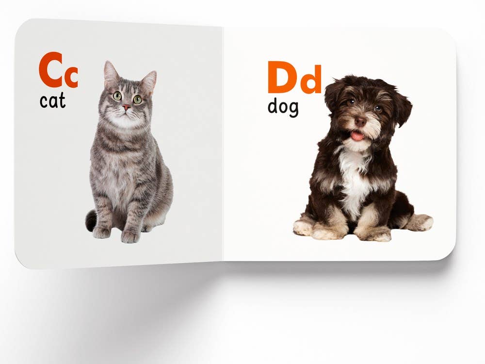 Independent Publishers Group - Wholesale Baby & Toddler Book (0-2) - My First Library4