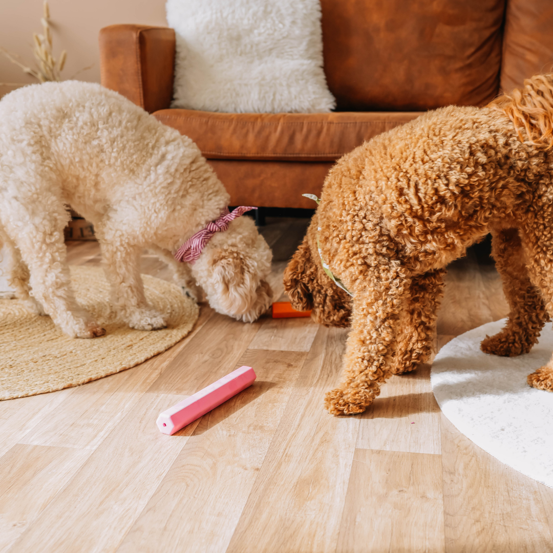 Babelle For Dogs - Wholesale Speeltje - Hond - The Treat Tube - interactief speeltje voor honden - roze2