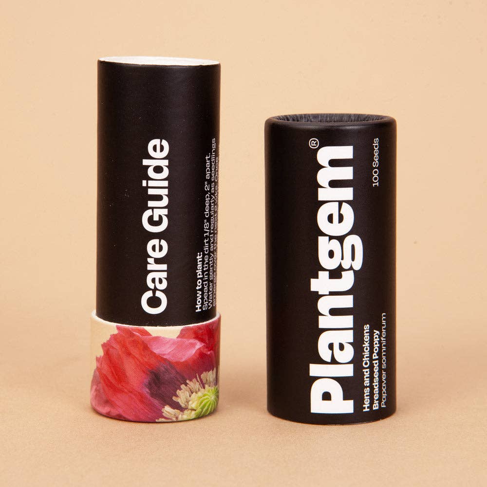 Plantgem - Wholesale Plant Seeds - Hens and Chicks Breadseed Poppy - 100 Seeds3