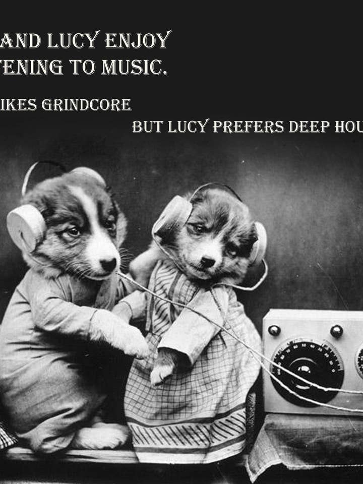 Puppy Music Tastes Vinatge Comedy 14x14cm Greetings card (Blank Inside) for wholesale by On The Wall Art Ltd