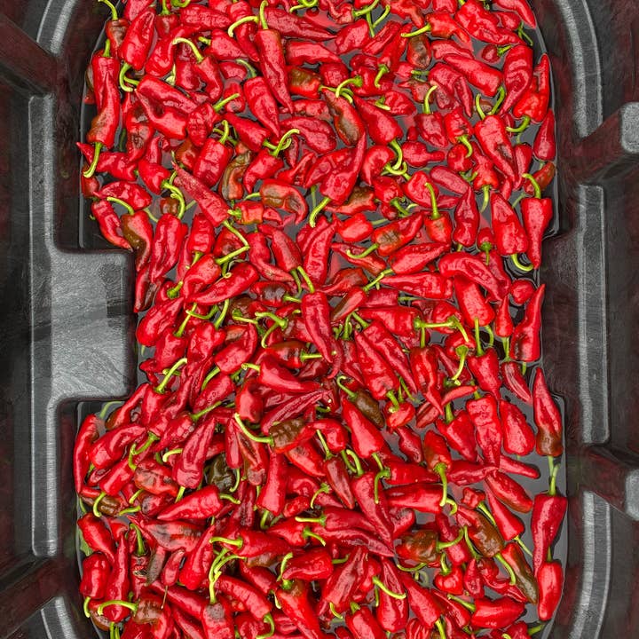 Springs Fireplace - Wholesale Hot Sauce - Tesuque4