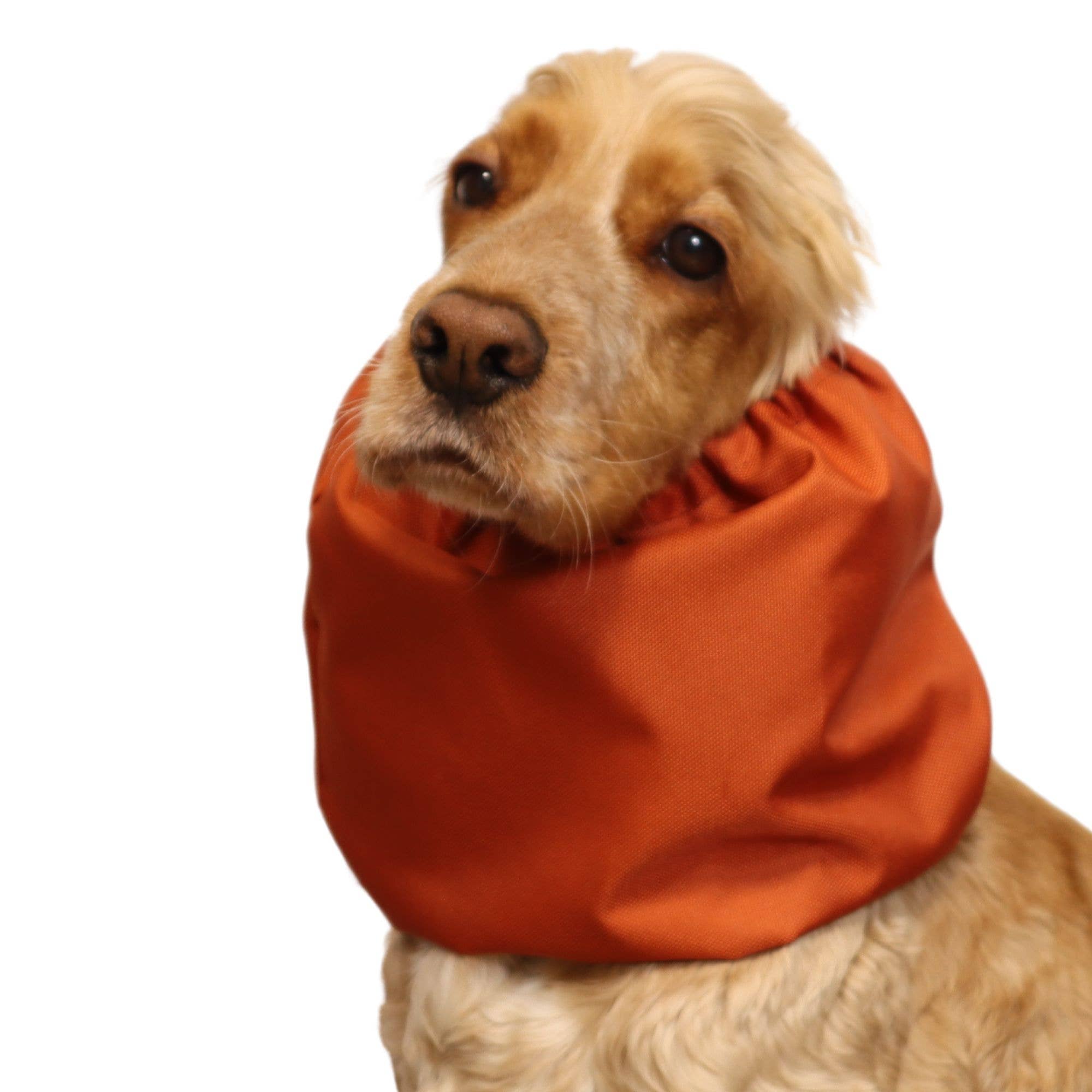 Distinguish Me - Venta al por mayor Protector de cuello para mascotas - Perros - Snood impermeable para perro | Naranja quemado1