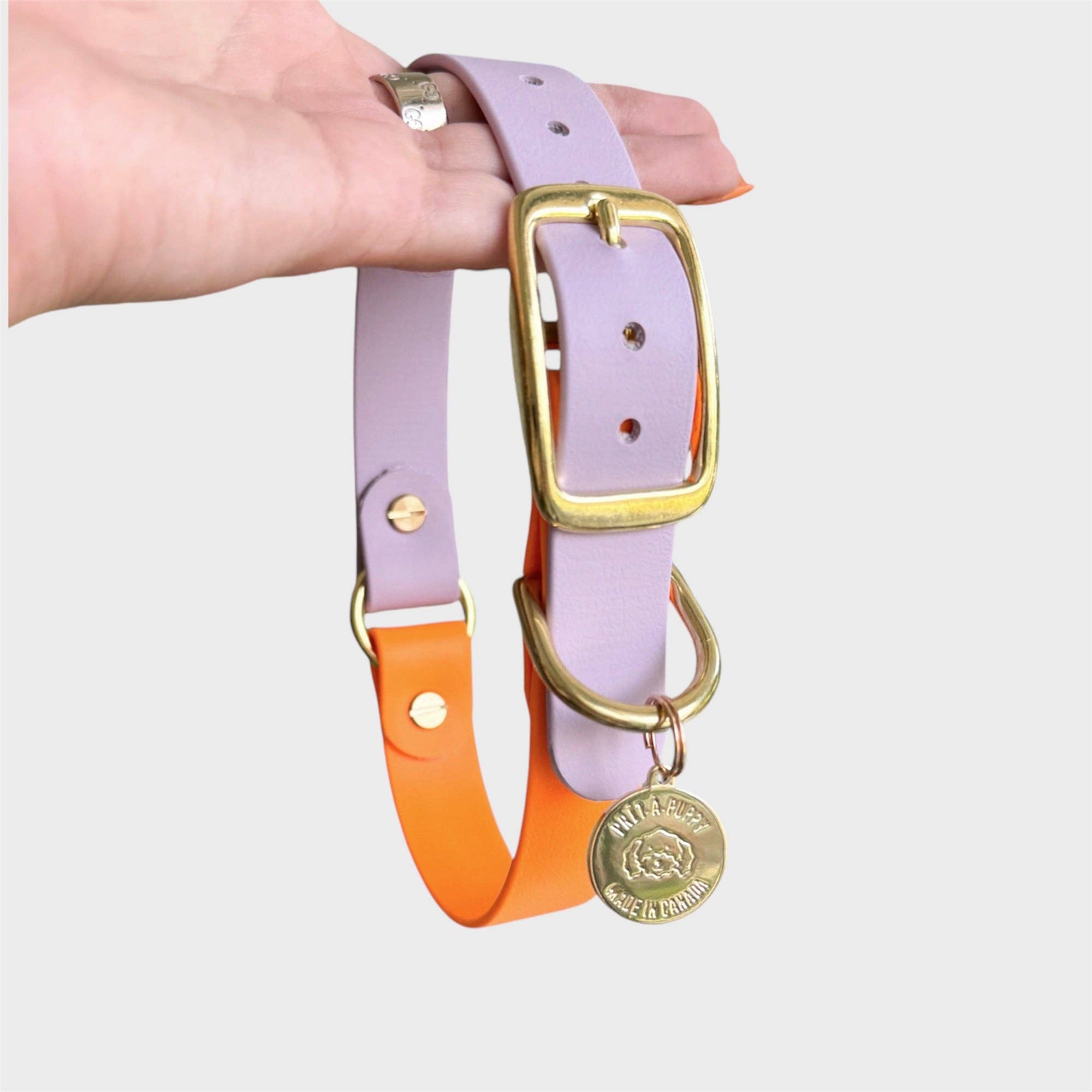 PRÊT-À-PUPPY - Vente Collier – chien - Collier original : créez le vôtre14