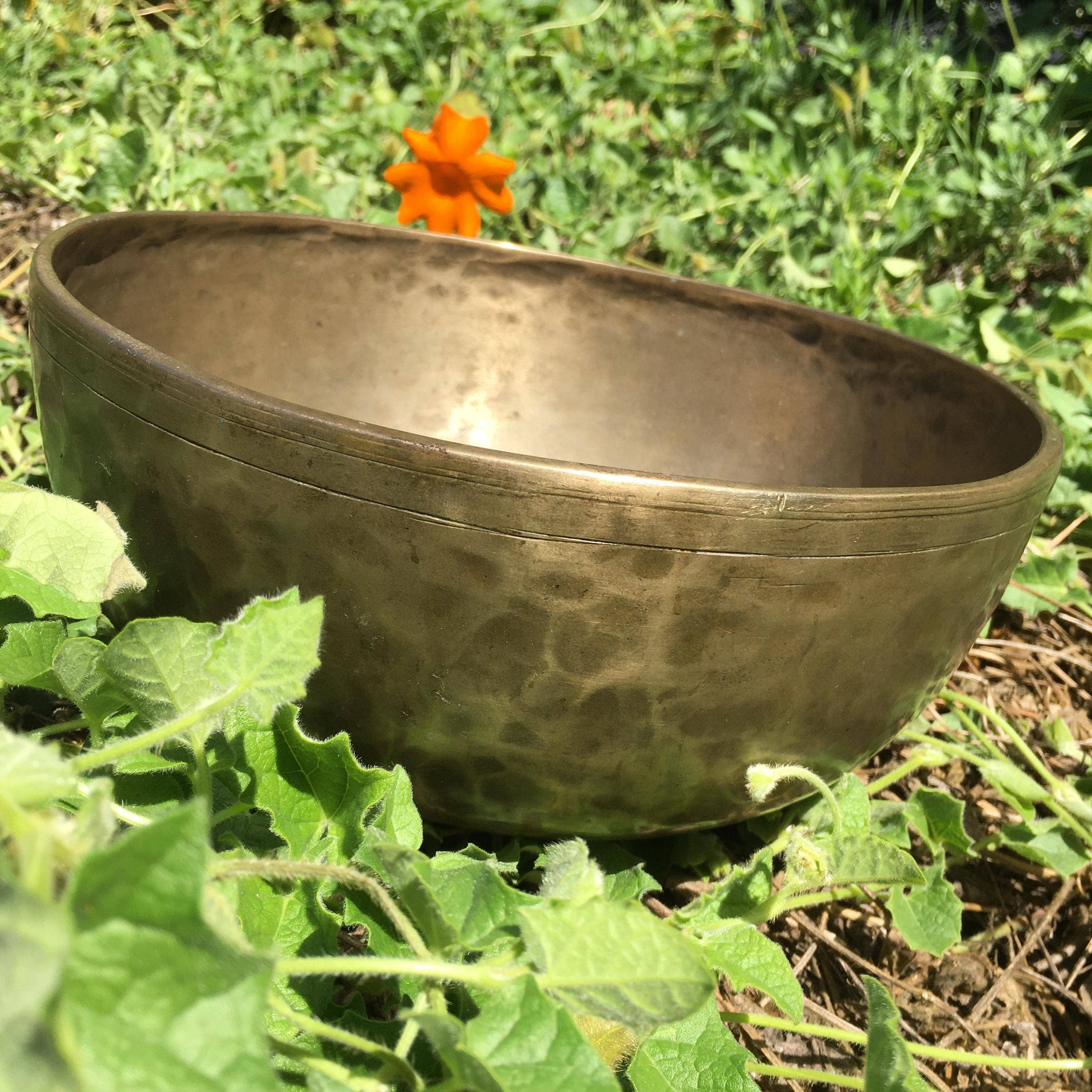Wildheart Crystals - Wholesale Meditation Supplies - AAA Vintage Hand Hammered Tibetan Singing Bowl 9.250