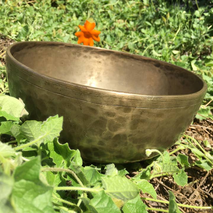 Wildheart Crystals - Wholesale Meditation Supplies - AAA Vintage Hand Hammered Tibetan Singing Bowl 9.25