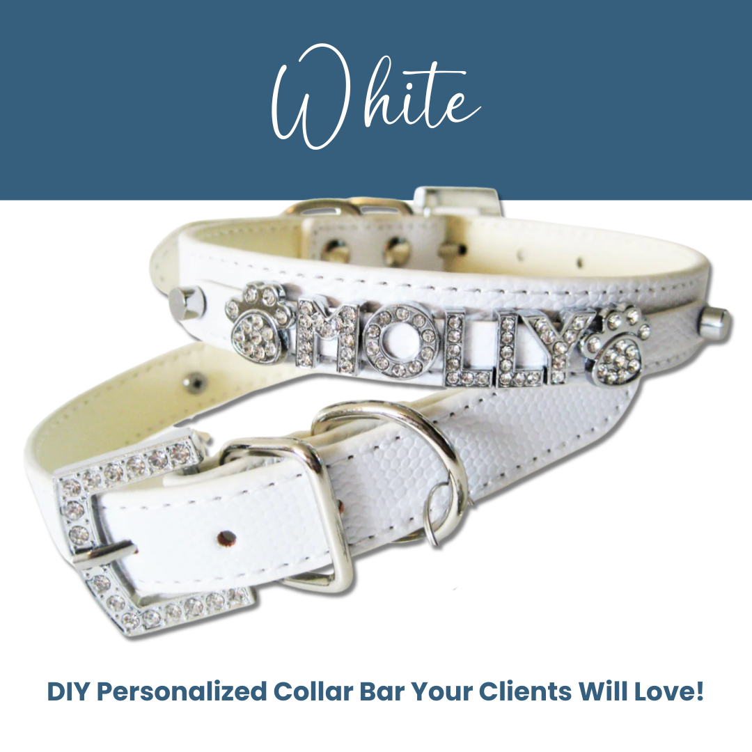 House of FurBaby - Wholesale Pet Collar - Cat/Dog - DIY Pet Collar Bar Kit: Silver Sparkle 280 Pieces $600 Value6