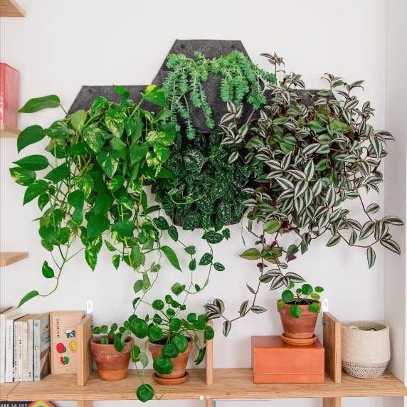 CitySens - Wholesale Wall Planter - CitySens Vertical Garden: Pack of 3 Wall Pots3