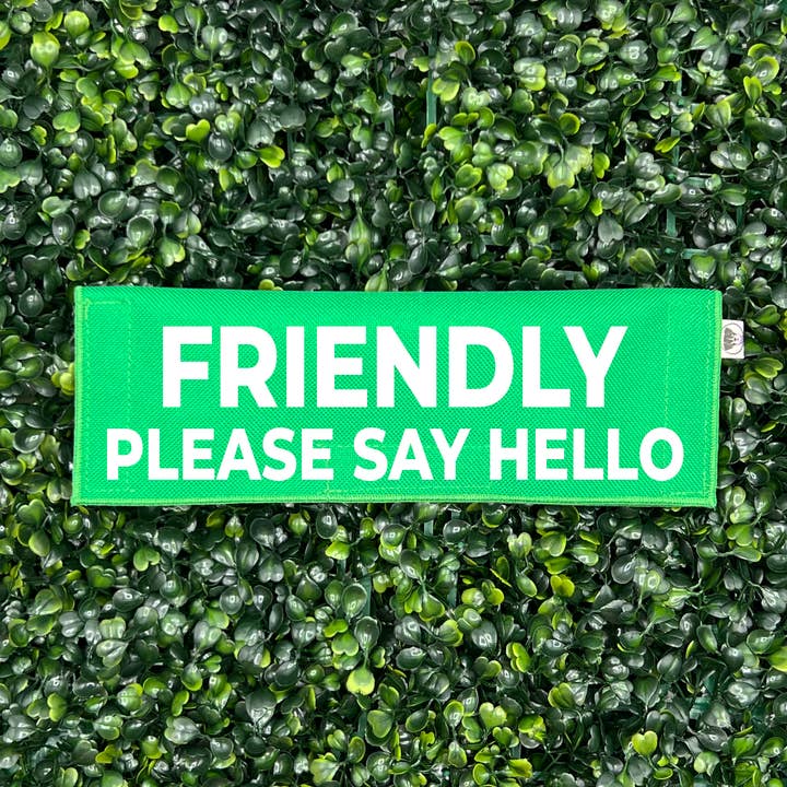 Amical - Veuillez dire bonjour pour la vente par Best Friend Supplies Co