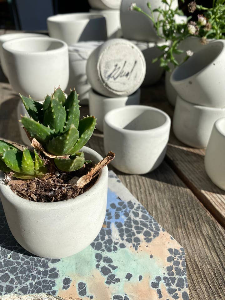 2” Round Concrete Pot (Natural) for wholesale by Made By Rheal