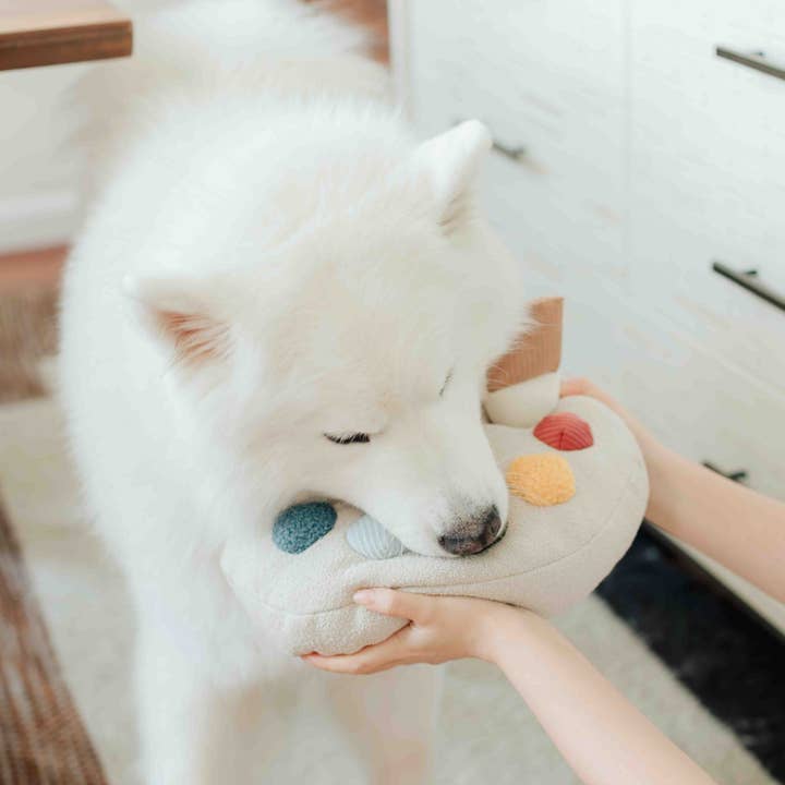 Lambwolf Collective – Engroshandel Legetøjssæt - Hund – Color Palette-sæt // ENRICHMENT legetøj til hunde4