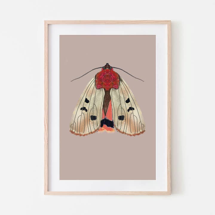 Art print Beige moth insect moth A3 and A4 for wholesale by Studio Angelart