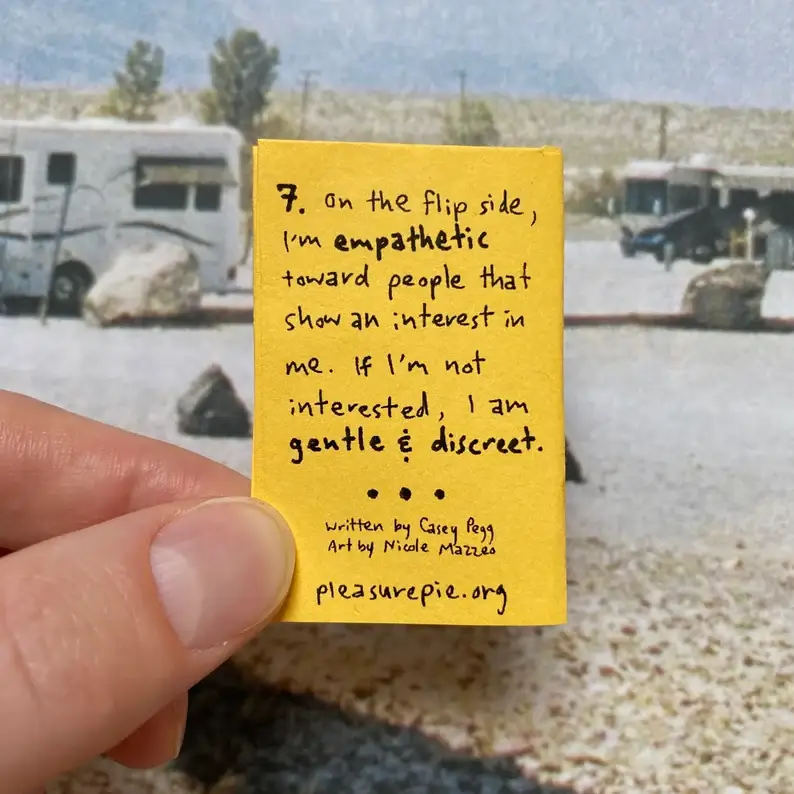 Pleasure Pie - Wholesale Romance Novel - Solicitation Skill Set: A Guide to Respectfully Hitting on People | Feminist sex education tiny zine4