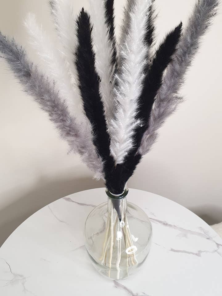 Wit, grijs, zwart pampagras 60 cm - 15 stelen voor wholesale door Opal Lily