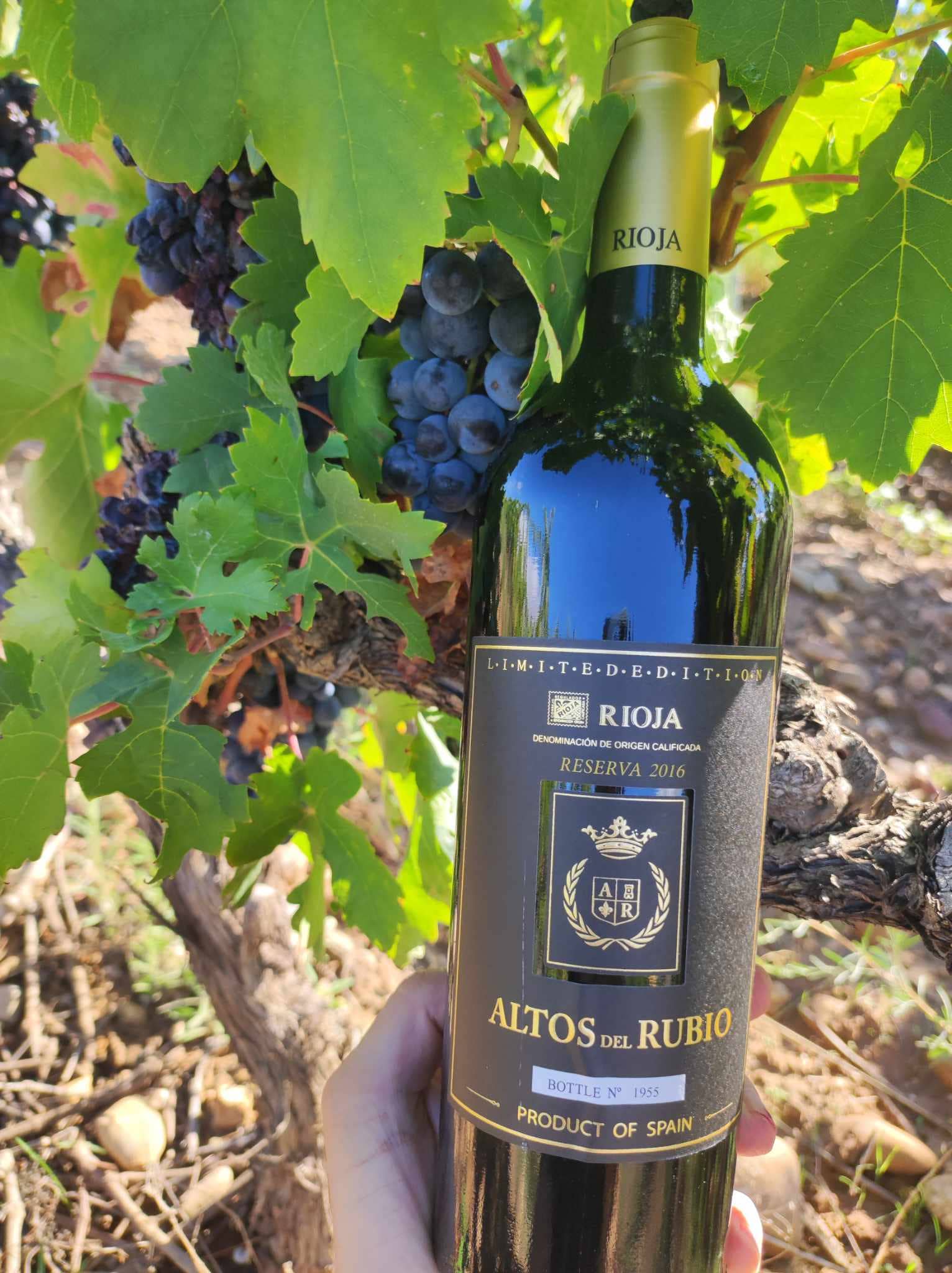 Viñedos y Bodegas Lyng - Wholesale Red Wine - D.O.Ca. Reserva red wine Rioja Altos del Rubio1