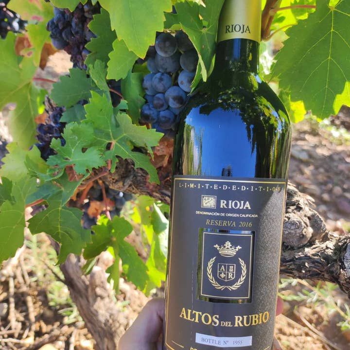 Viñedos y Bodegas Lyng - Wholesale Red Wine - D.O.Ca. Reserva red wine Rioja Altos del Rubio1