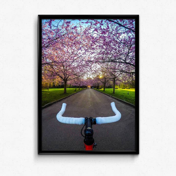 Serenidad de Sakura para venta al por mayor de Behind Handlebars