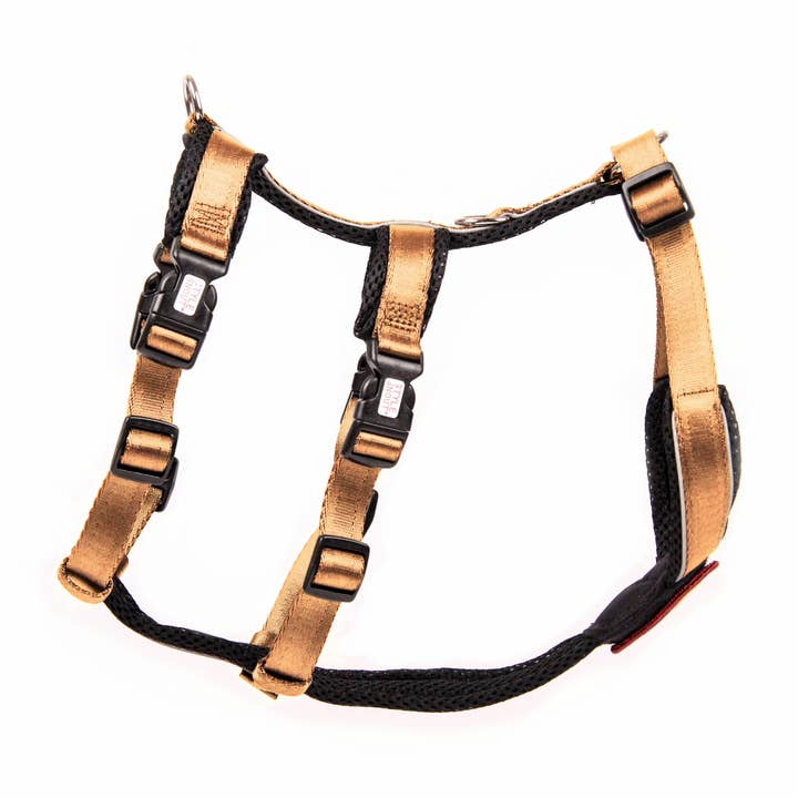 Pettorina per cani - Pettorina di sicurezza - Patch&Safe - Oro per la vendita all'ingrosso da parte di StyleSnout