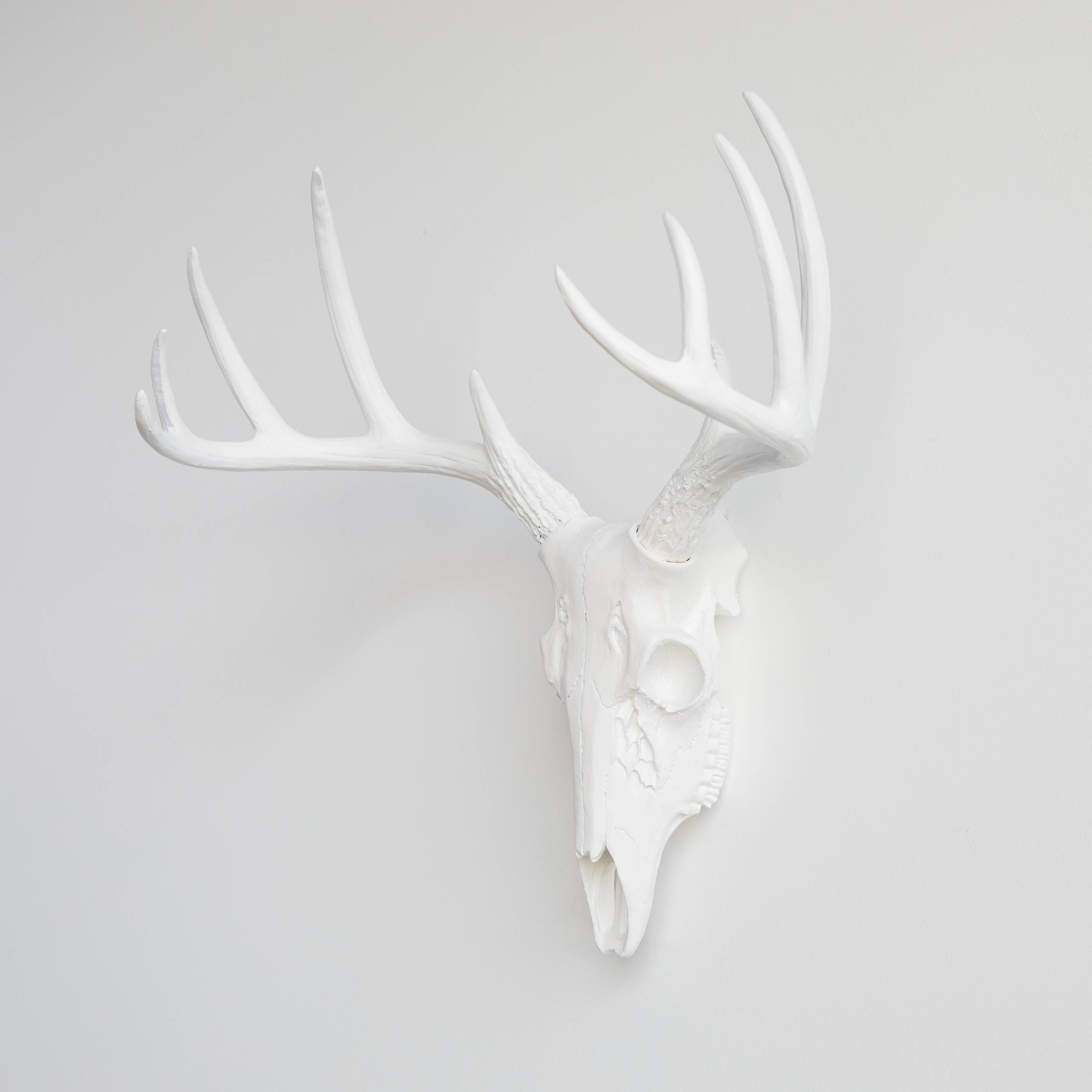 Near and Deer - Wholesale Dimensionele/3D-muurkunst - Faux Mini Buck Skull muursteun1