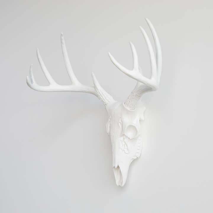 Near and Deer - Wholesale Wall Accent - Faux Mini Buck Skull Wall Mount11