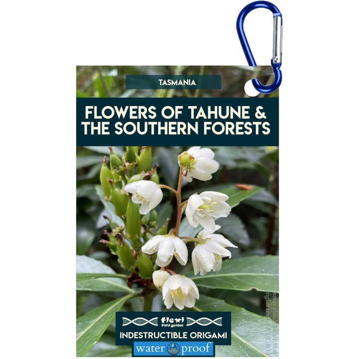 Flowers of The Southern Forests-Indestructible Origami for wholesale by Flexi Field Guides