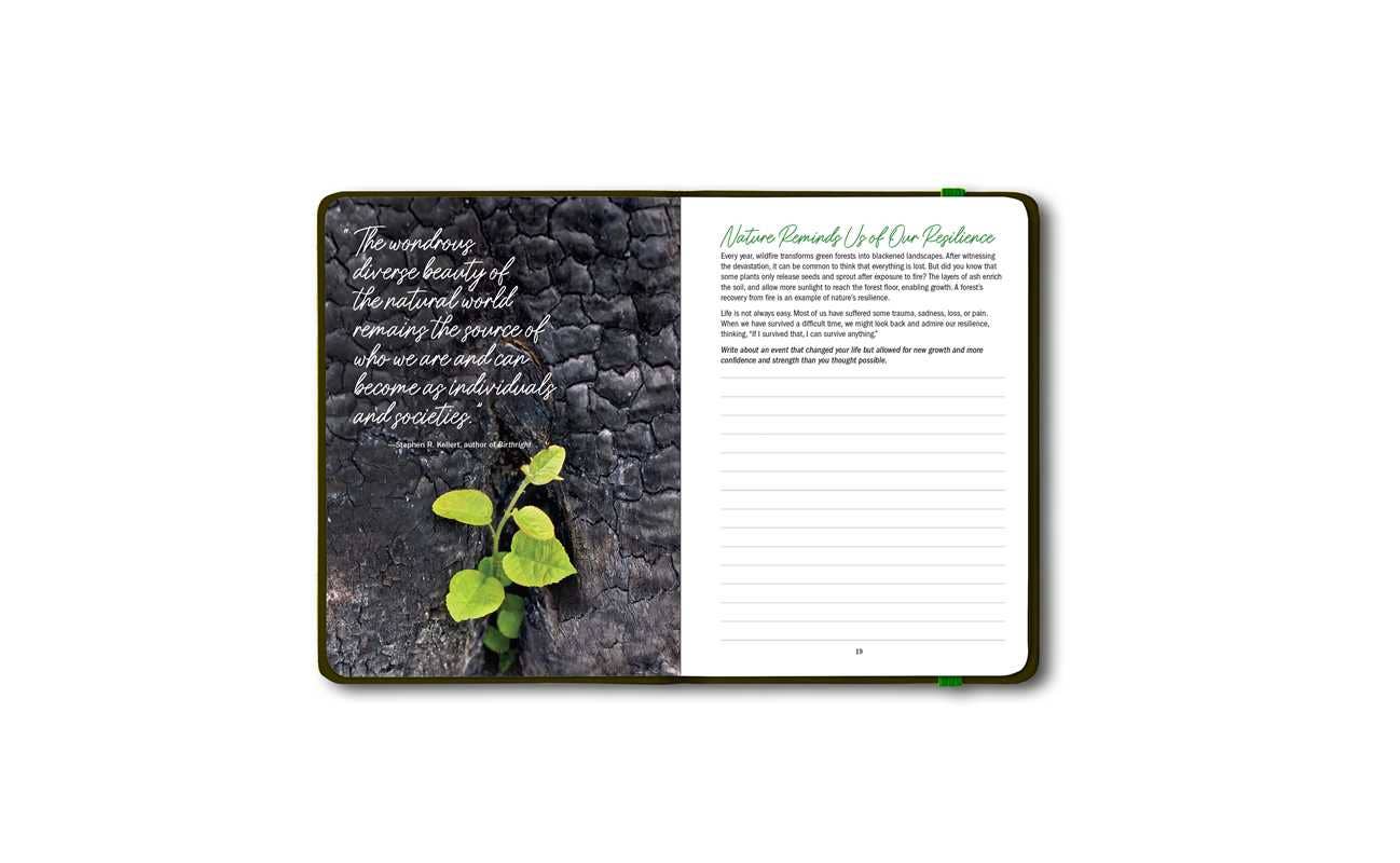 Simon & Schuster - Wholesale Journal/Diary - Grounded by Patricia H. Hasbach4