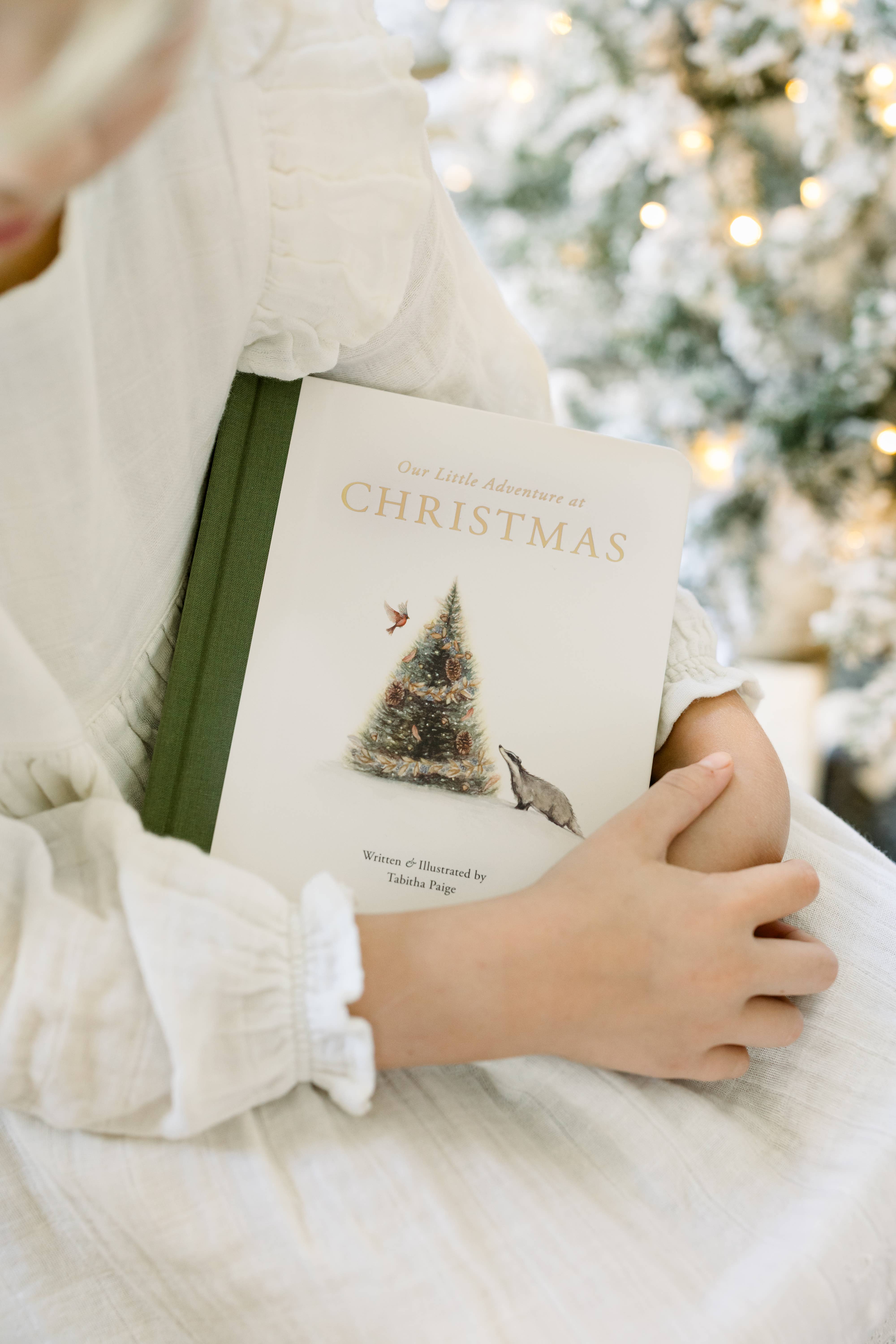 Paige Tate & Co. – wholesale Baby and toddler book (0–2) – Our Little Adventure at Christmas (Baby's first Christmas)5