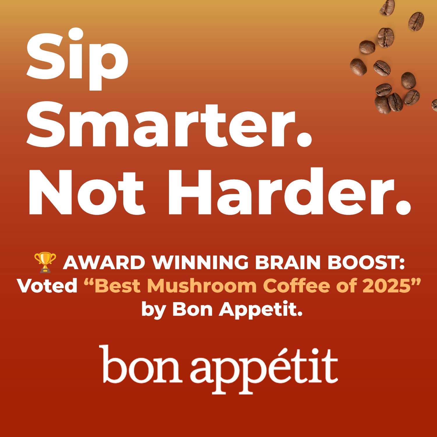 Shroomi - Wholesale Ground Coffee - Shroomi Mushroom Coffee - Medium Roast Nicaragua, Ground Organic Coffee, 10oz Bag1