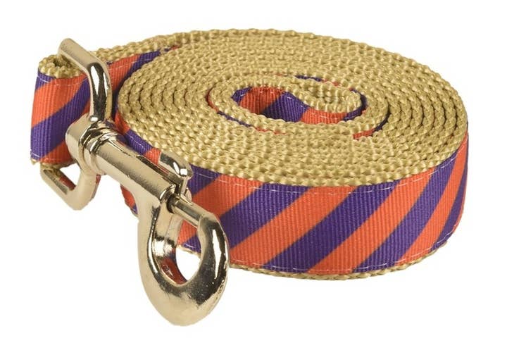 Collegiate - Clemson05 Dog Leash Tiger Rep Stripe for wholesale by Paw Paws USA