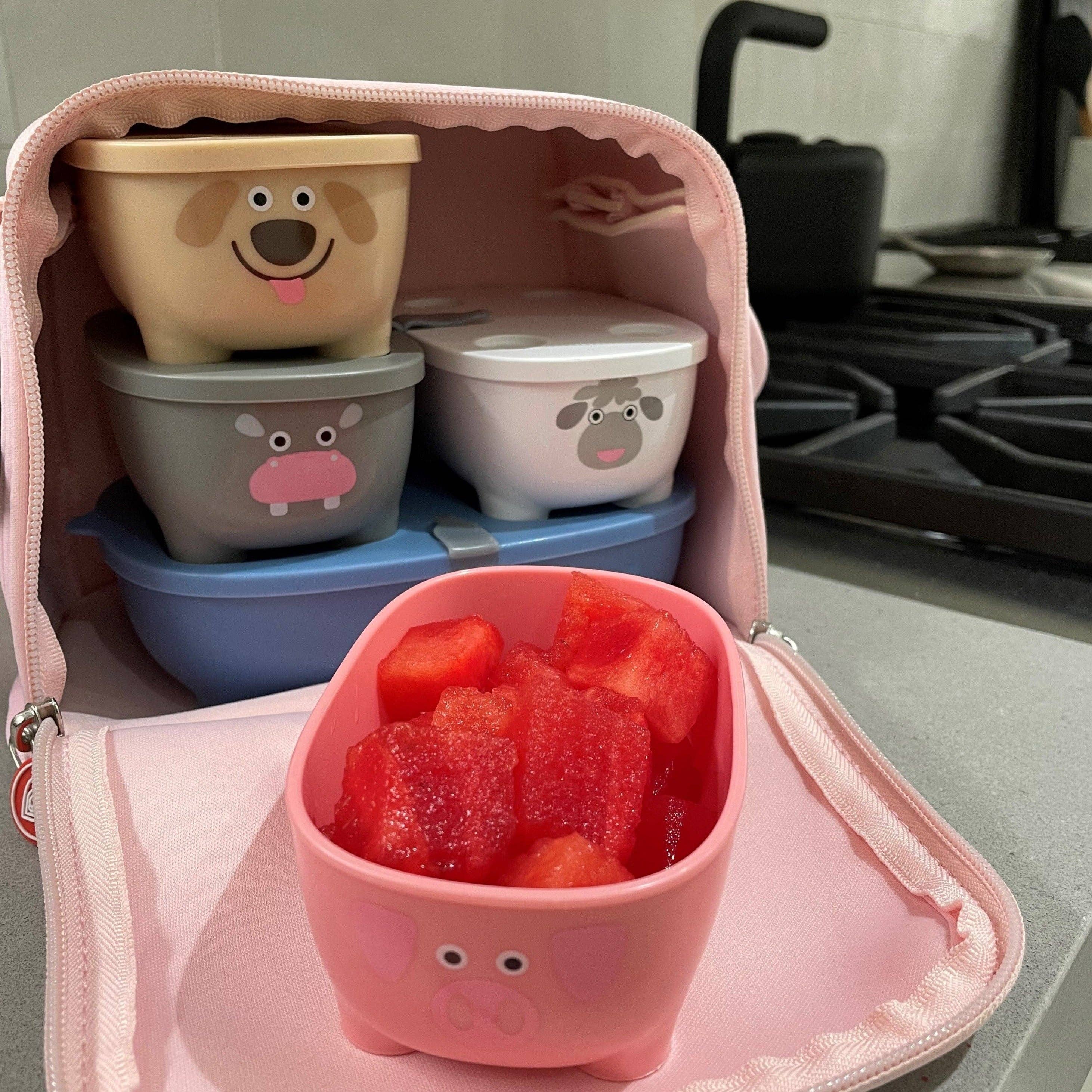 Prince Lionheart - Wholesale Lunch bag/box – Kids - Bentomal ® To Go Bento Box and Carry Bag Lunch Box Container6