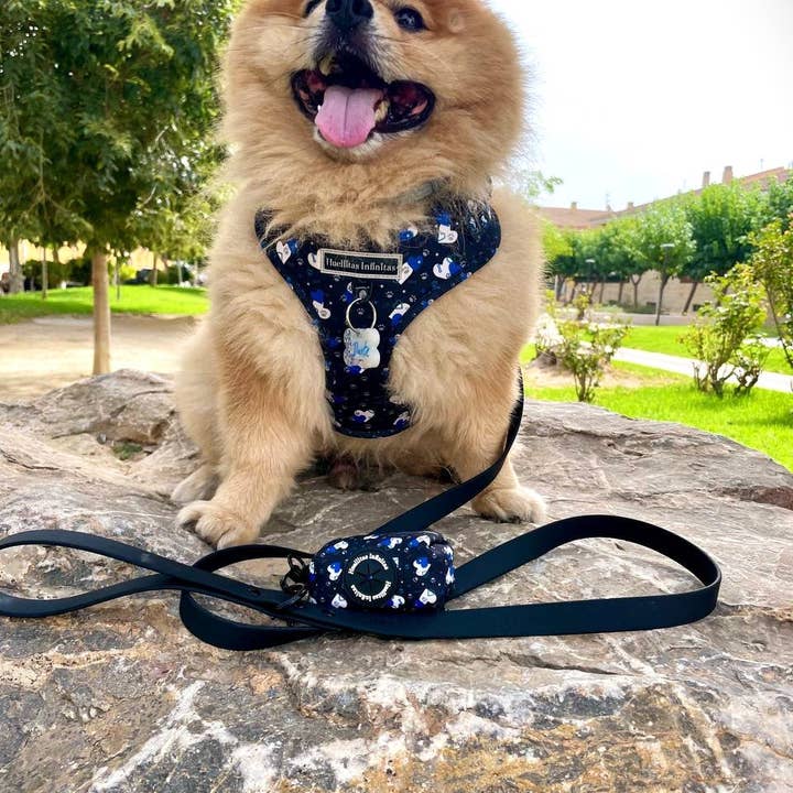 HUELLITAS INFINITAS - Wholesale Pet Leash - Dog - Black Waterproof Strap Monocolor Edition1