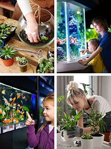 Mandala Crafts - Wholesale Garden Tool - Long Stainless Steel Aquascape Tool Kit for Saltwater Freshwater Aquarium Plant Trimming, Fish Tanks, Terrariums4