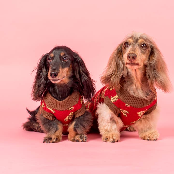 Pablo & Co. Boutique - Wholesale Pet Sweater - Dog - Henry Bear Dog Knit Sweater