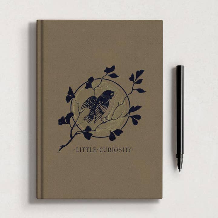 Little Curiosity Gradebook for wholesale by Les vilaines curiosités