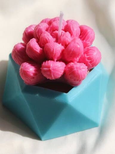 Succulent Candle for wholesale by Humans For Animals