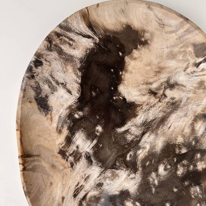 Office Objets - Wholesale Decorative Plate/Dish/Bowl - Very large catchall or dish in petrified wood20