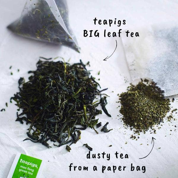 teapigs - Wholesale Tea Bags - Mao Feng Green Tea - 50 Temples3