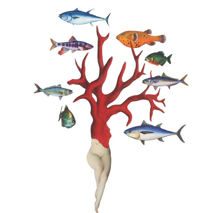 Coral print for wholesale by Nature Morph