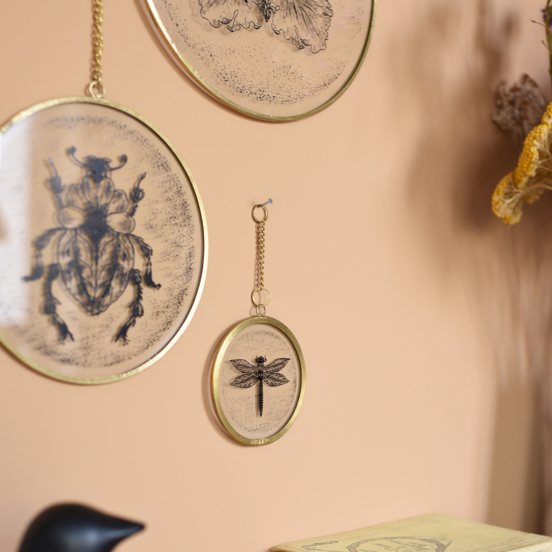 Baubels – Großhandel 3D-Wandkunst – Kiko Beetle Rahmen3