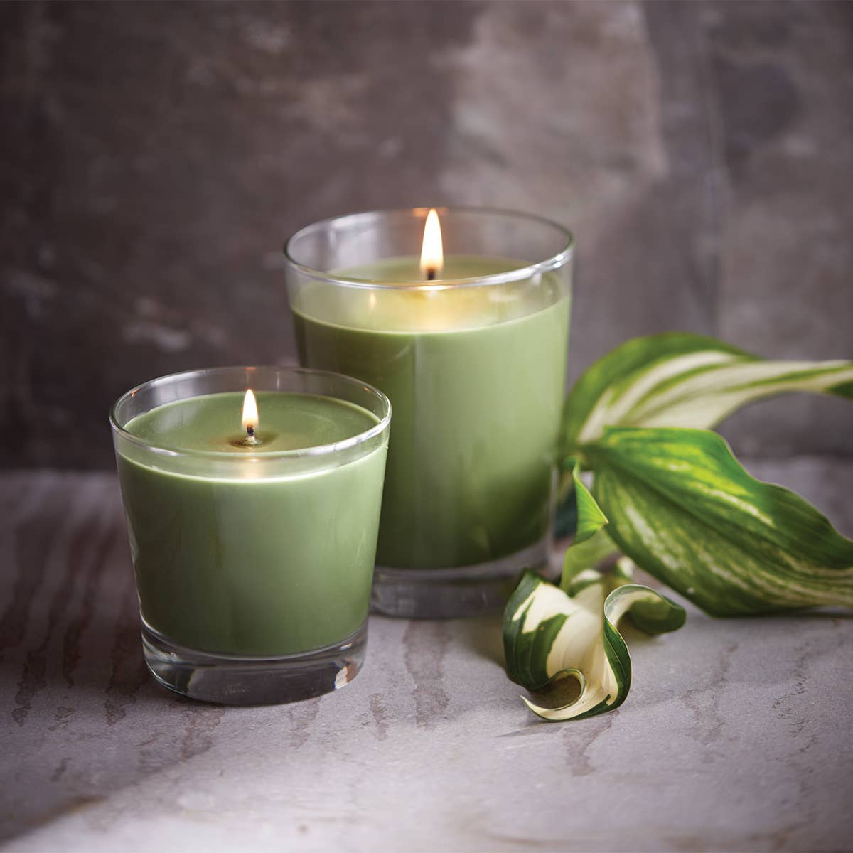 ROOT Candles - Wholesale Jar/Filled Candle - Root 6.3 Oz Small Veriglass22