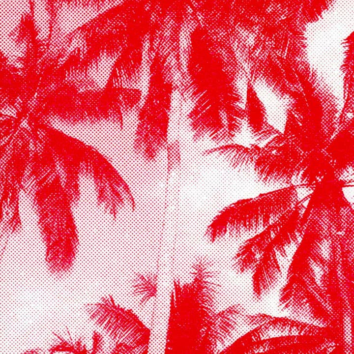 HERR & FRAU RIO - Wholesale Postcard - Sansibar postcard1