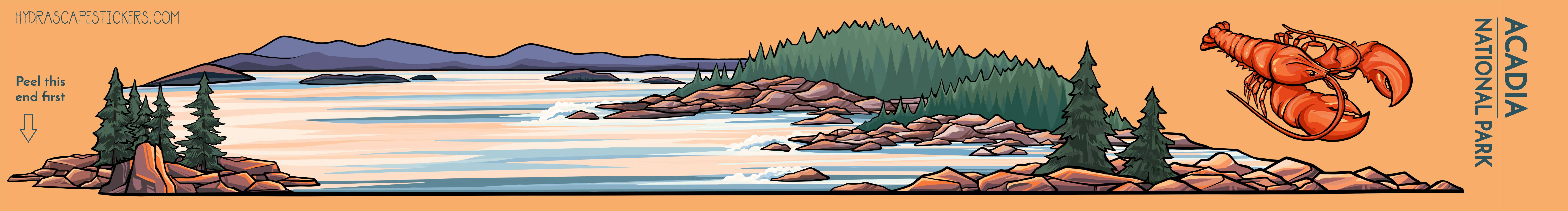 Hydrascape Stickers - Wholesale Sticker - Acadia National Park Infinity Sticker4