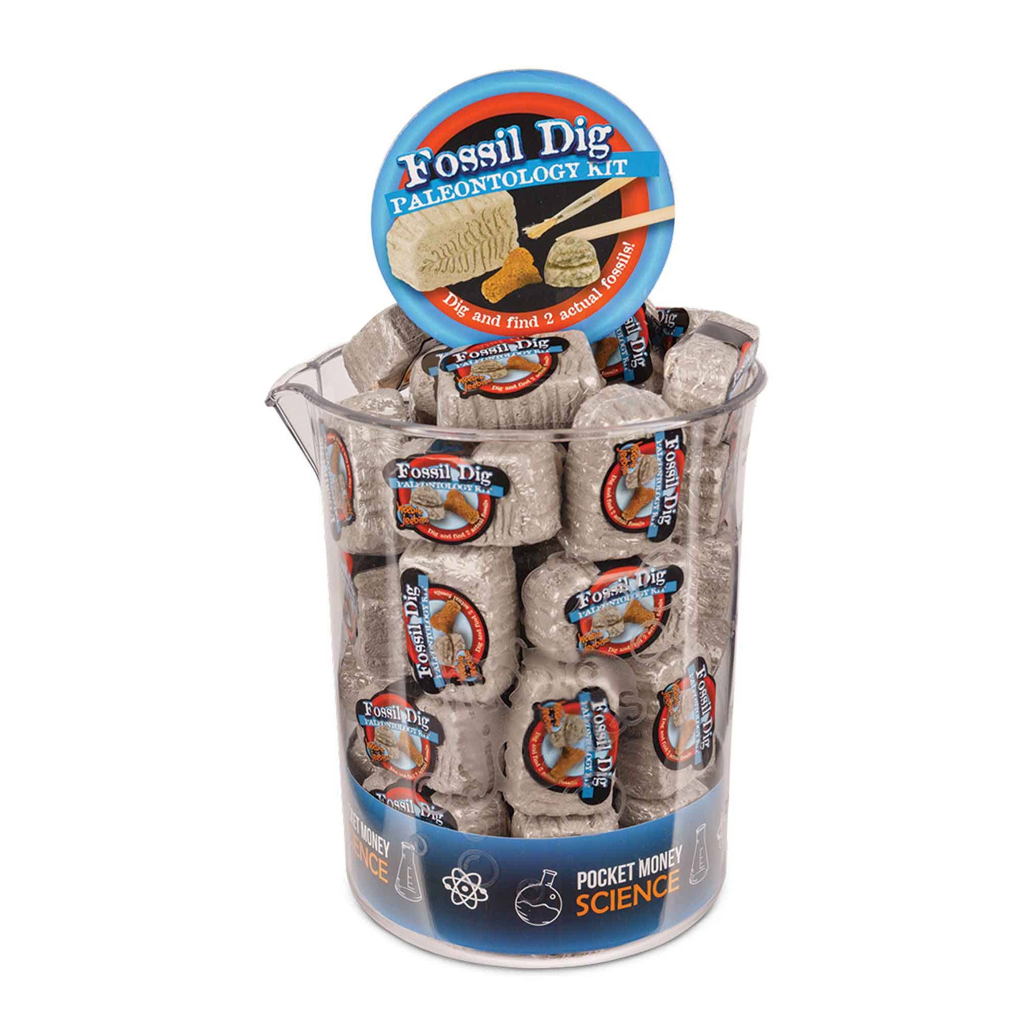 Heebie Jeebies USA - Vente Lot de jouets – enfant - Kit Fossil Dig Paleo dans un bécher scientifique3