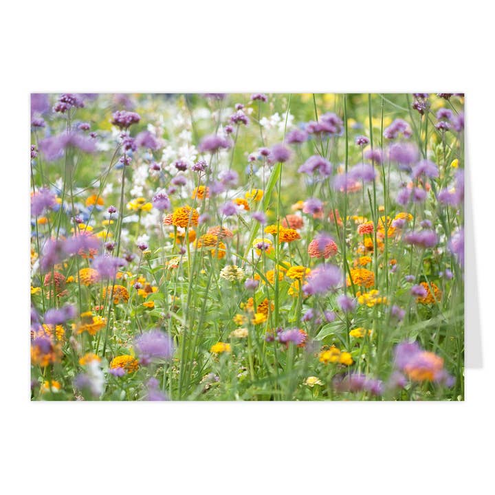 Biglietto pieghevole midi "Prato estivo" per la vendita all'ingrosso da parte di paruspaper. nutzfeine papeterie