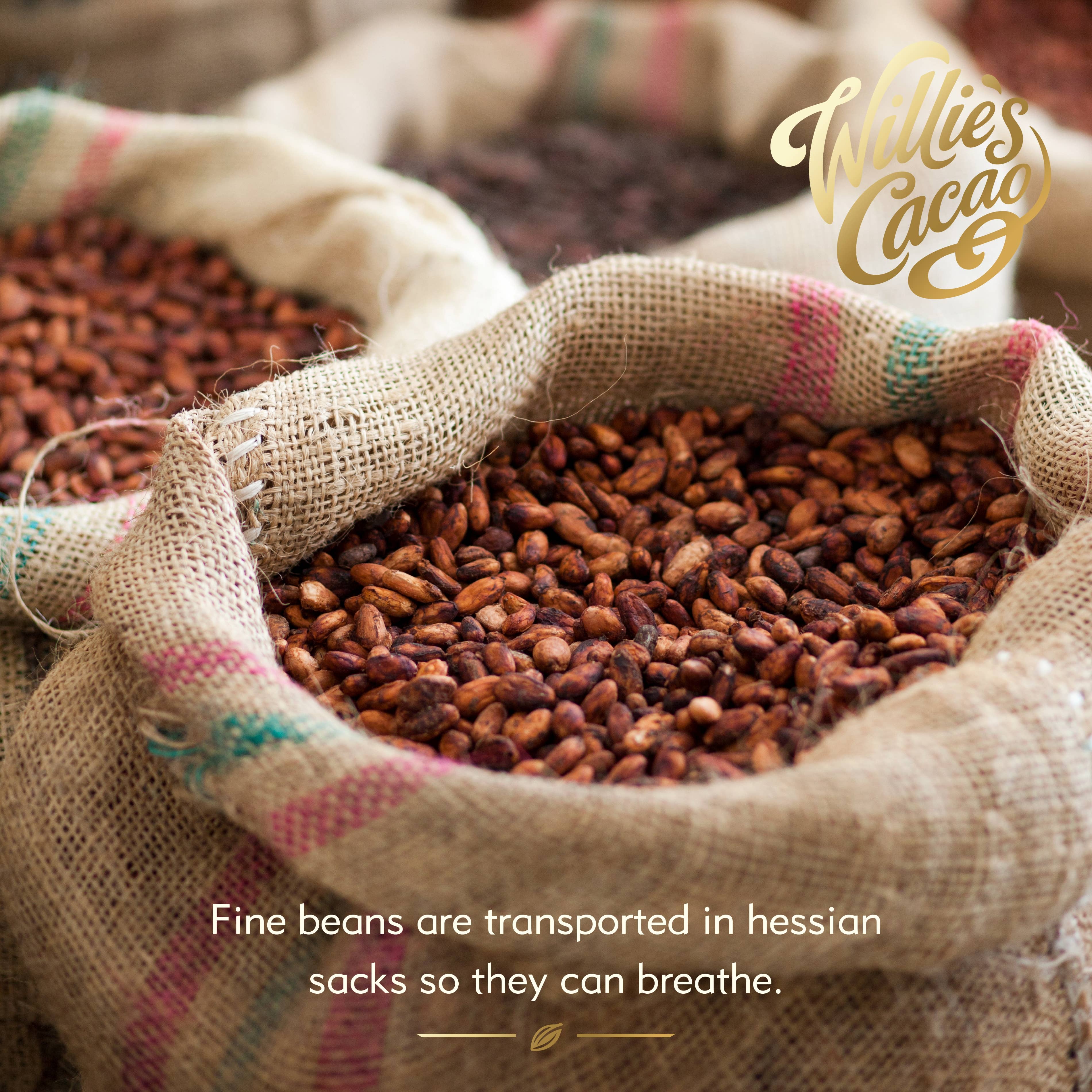 Willie's Cacao - Venta al por mayor Chocolate - La leche de los dioses. Chocolate con leche al 44% Río Caribe. Barra de 50 g6