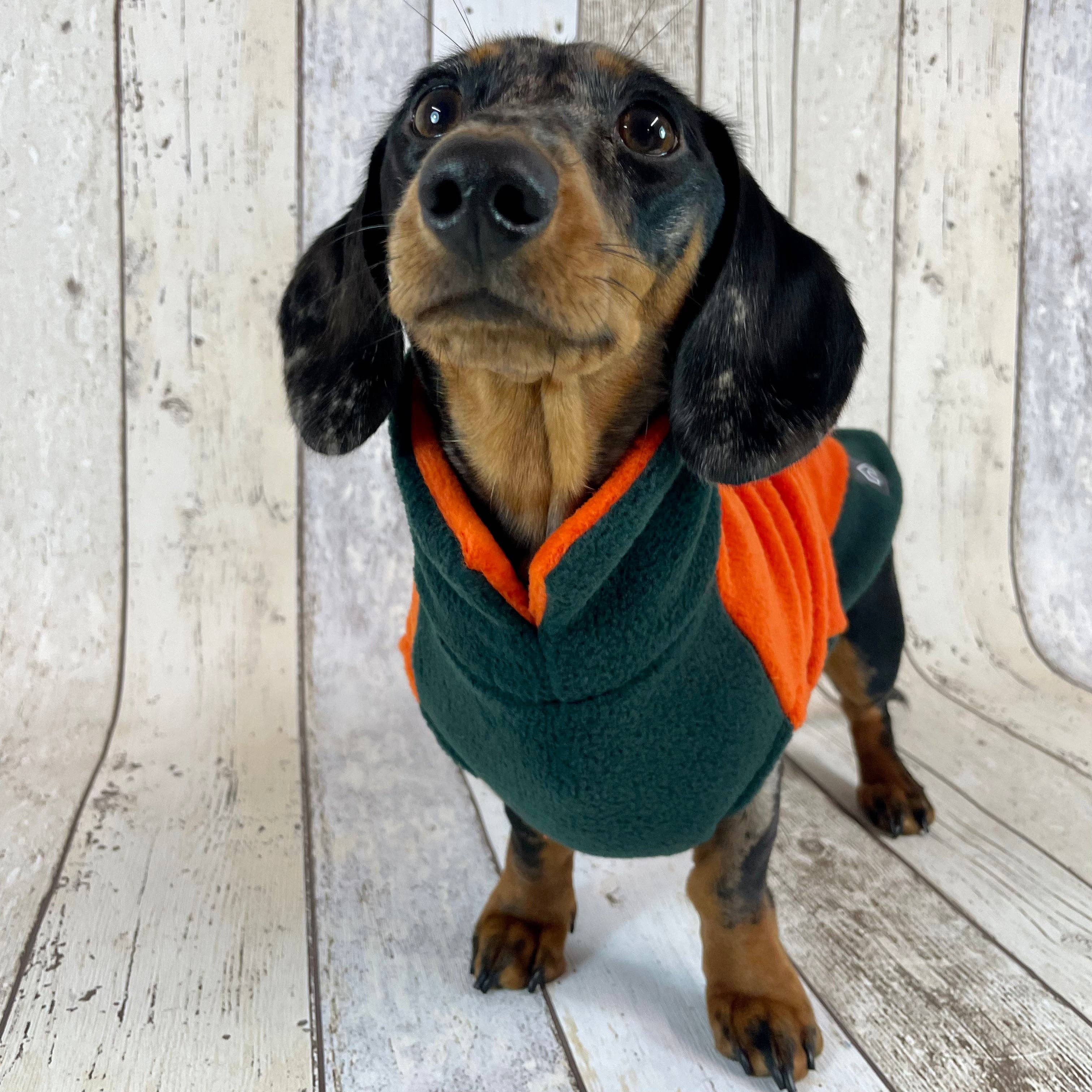 Doghouse – Großhandel Haustier-Pullover – Hund – Zweifarbiger Dackel-Fleecepullover7