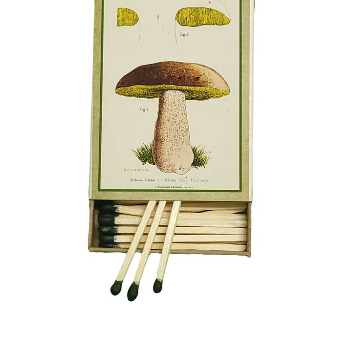 Superior Dry Goods - Wholesale Matches - "Mushrooms!" Handmade Decorator Matchbox Lot4