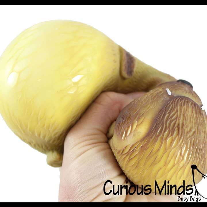 Curious Minds Toys - Wholesale Squishy Toy - Kids & Baby - 1 Cute Dog Soft Fluff Doh - Filled Squeeze Stress Balls  -