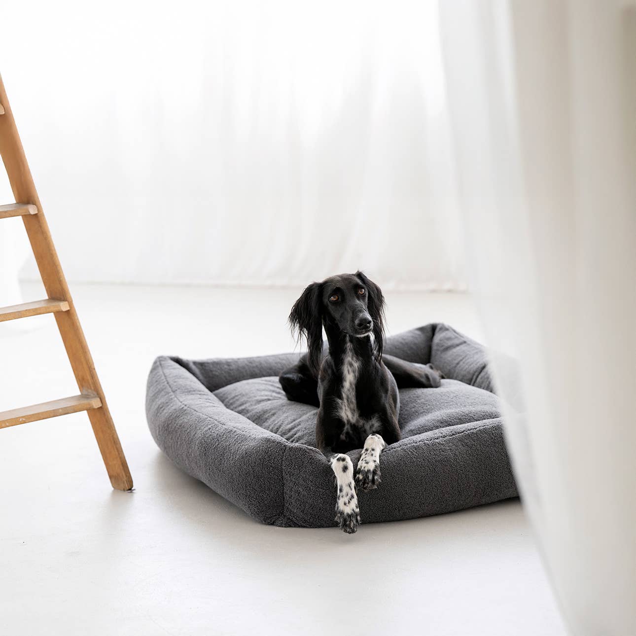 LABONI - Volentis GmbH - Vente Panier – chien - Lit classique pour animaux TEDDY11